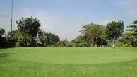Wing 23 Golf Club - Green